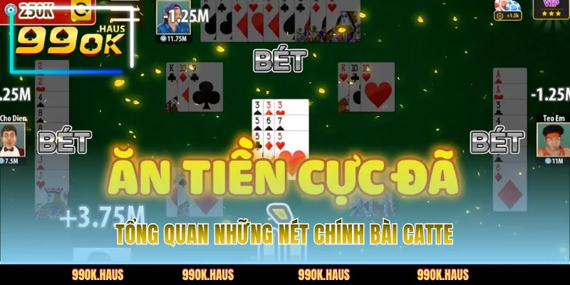 Giới thiệu tổng quan những đặc điểm chính bài Catte